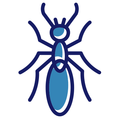 Termite treatment by Rocket Pest Control in South Carolina, North Carolina, Georgia, and Florida